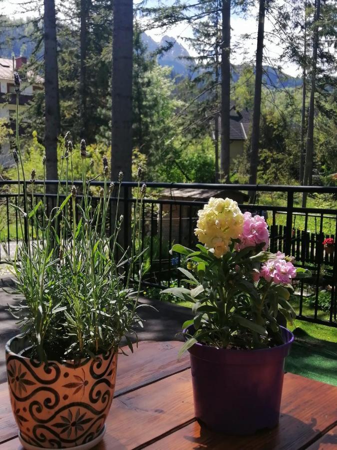 Appartamento Dom Pod Skocznia Zakopane Esterno foto
