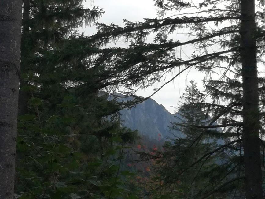 Appartamento Dom Pod Skocznia Zakopane Esterno foto