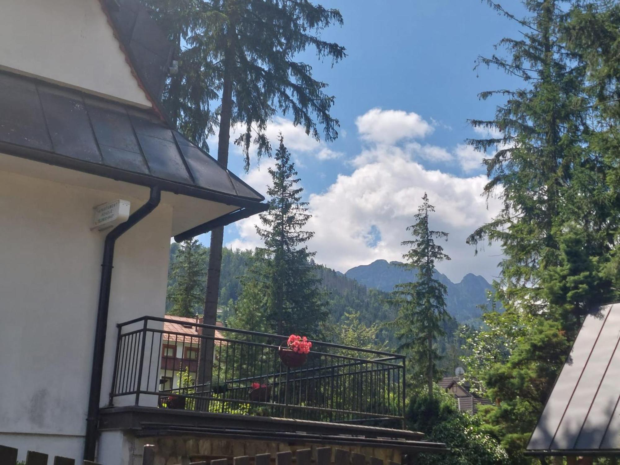 Appartamento Dom Pod Skocznia Zakopane Esterno foto
