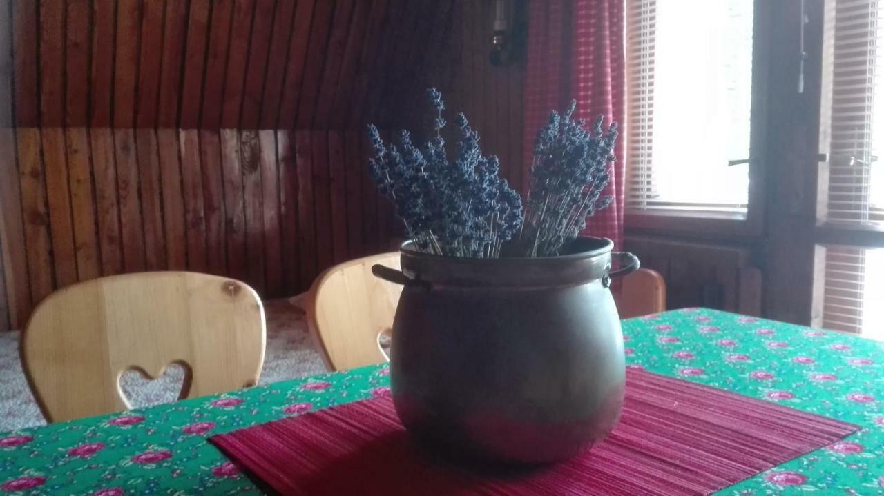 Appartamento Dom Pod Skocznia Zakopane Esterno foto