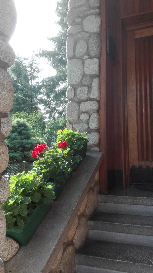 Appartamento Dom Pod Skocznia Zakopane Esterno foto