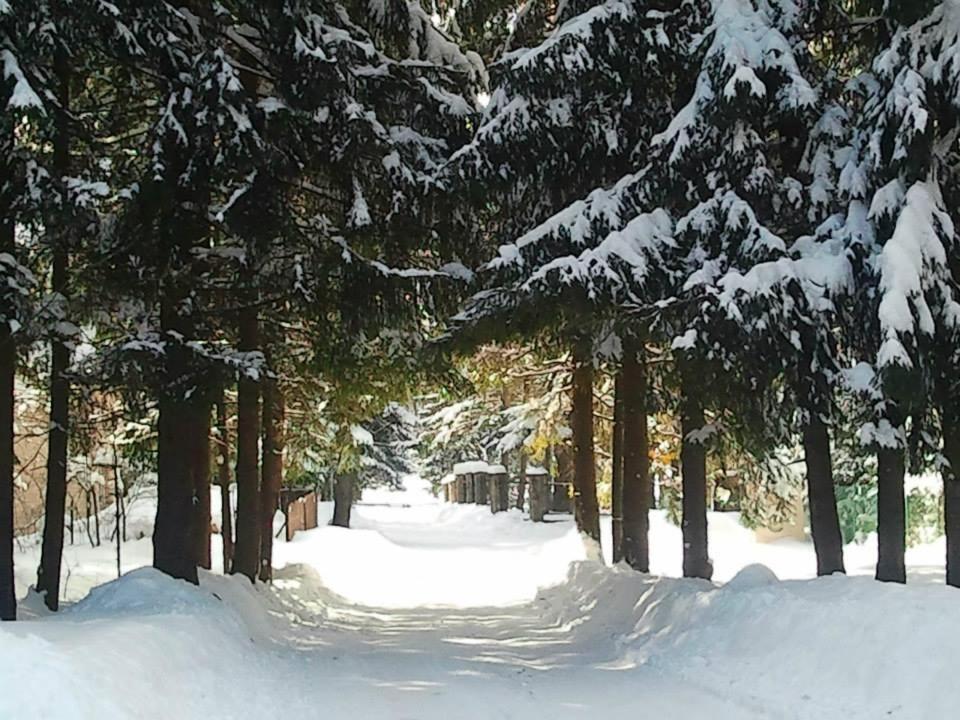 Appartamento Dom Pod Skocznia Zakopane Esterno foto